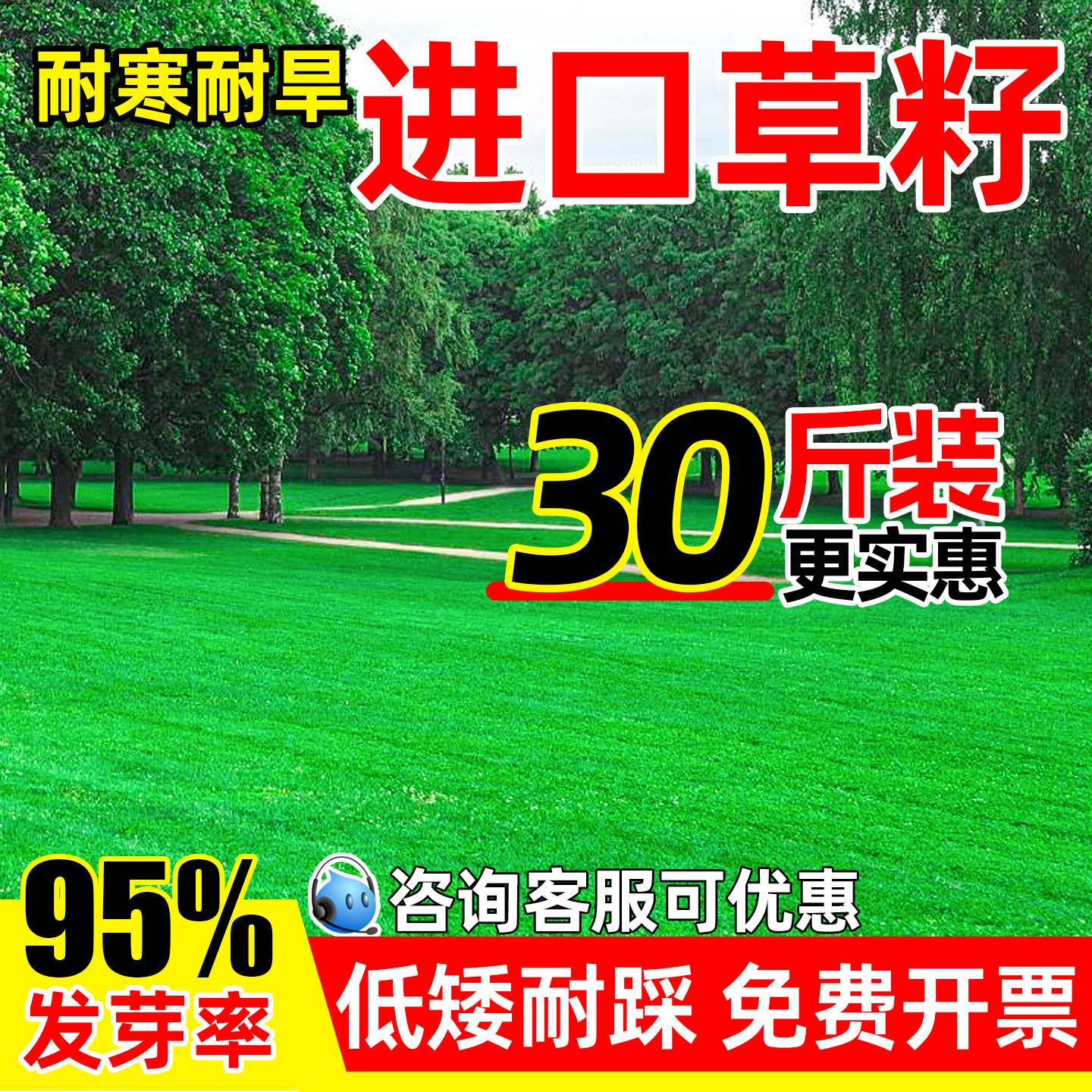 矮生绿化狗牙根四季青地毯草种子
