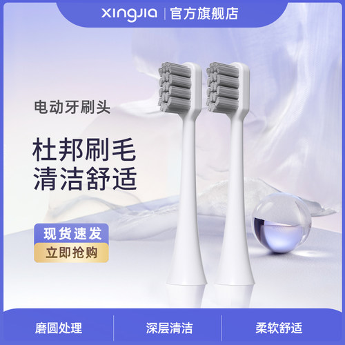 清洁成人通用行甲软毛