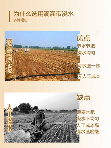新品滴灌带滴管农用滴灌管大棚蔬菜16mm贴片式农用水带水管辣椒滴
