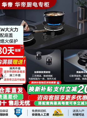 华帝8C21燃气灶家用大火双眼煤气灶炉具炬焰灶门店同款新款促销价