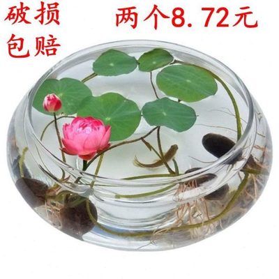 专用盆莲铜钱草水培鱼缸玻璃花瓶花盆荷花的养器植物缸睡莲透明碗