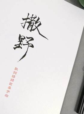 撒野语录字帖小说周边同款行楷瘦金体文艺女生钢笔练字帖大学生