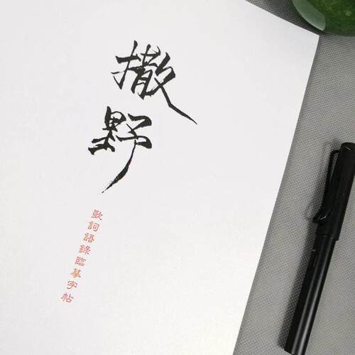 撒野语录字帖小说周边同款行楷瘦金体文艺女生钢笔练字帖大学生