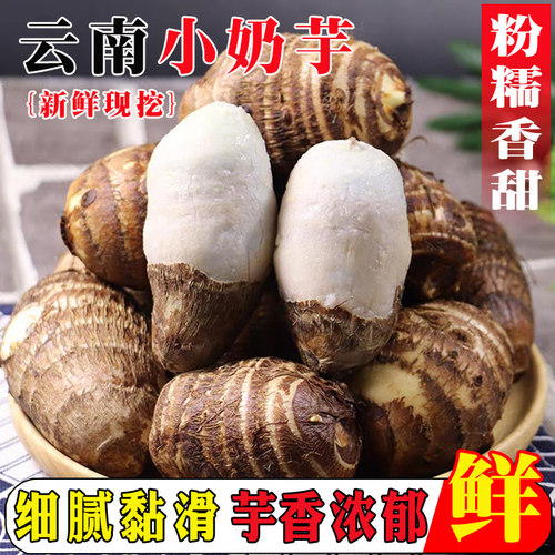 『官方推荐』新鲜牛奶小芋头9斤