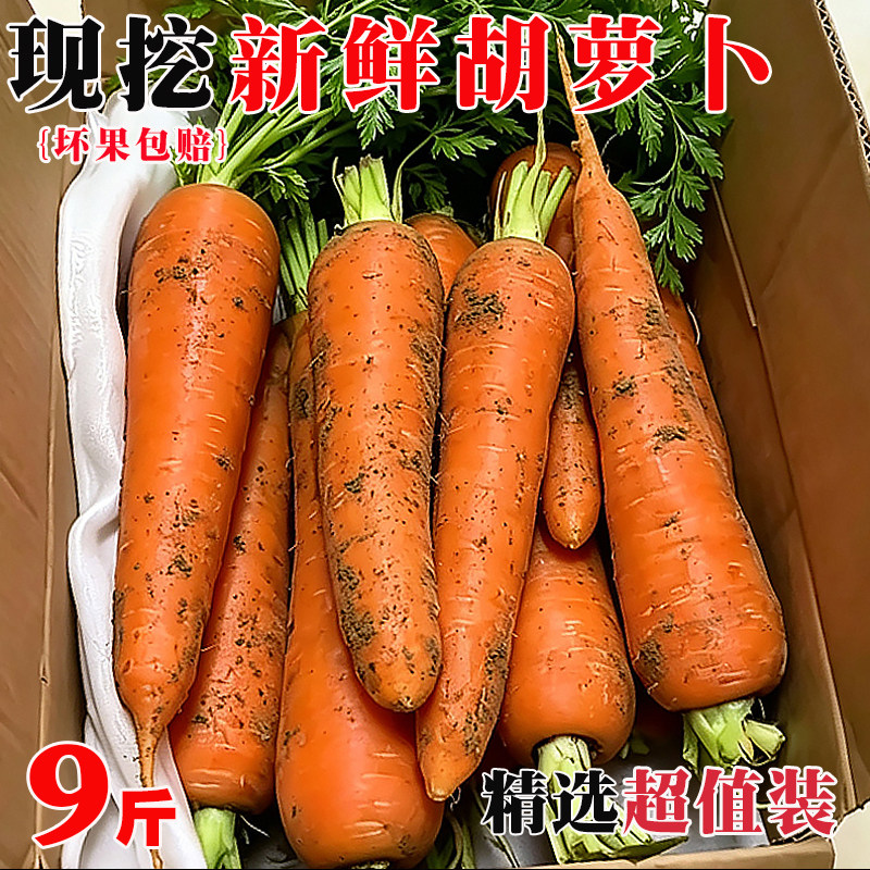 『官方推荐』新鲜沙地胡萝卜9斤