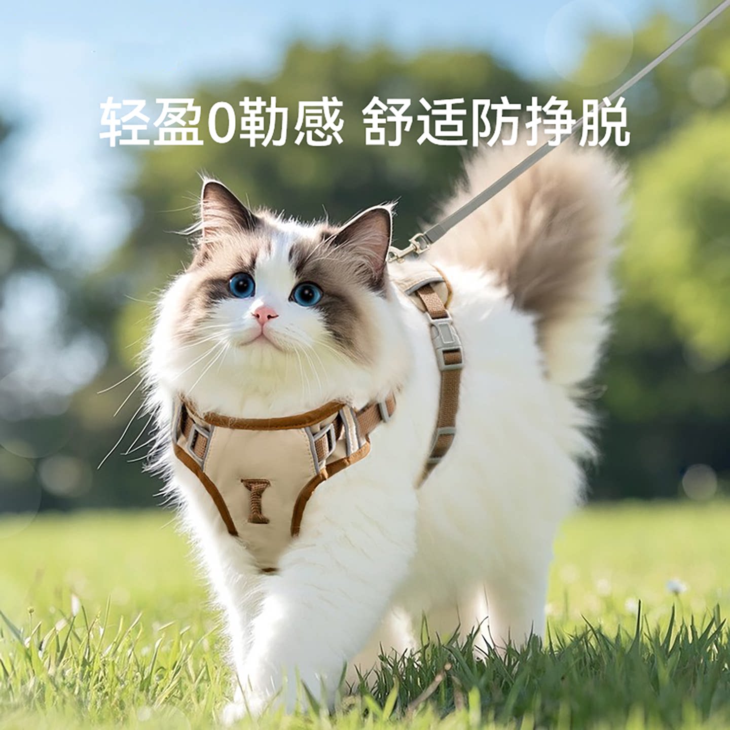 猫咪牵引绳遛猫绳防挣脱不勒脖外出专用可调节工字型胸背带溜小猫