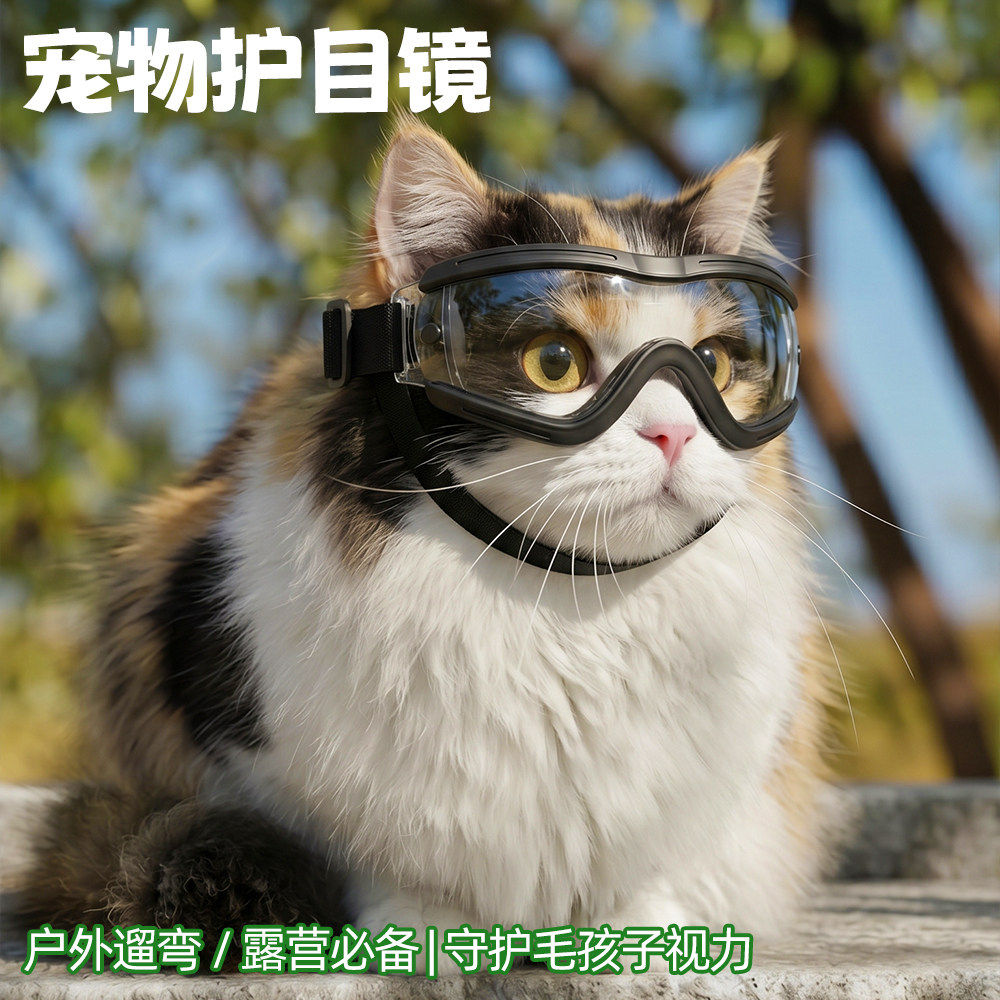 网红宠物护目镜全犬小猫通用骑行墨镜防风夏季防晒太阳镜户外眼镜