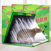 20张粘星鼠板超强力老鼠贴沾鼠胶笼子驱鼠灭鼠器大老鼠克正品 家用