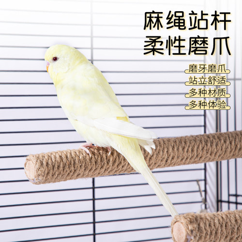 居家小宠鹦鹉站杆玩具
