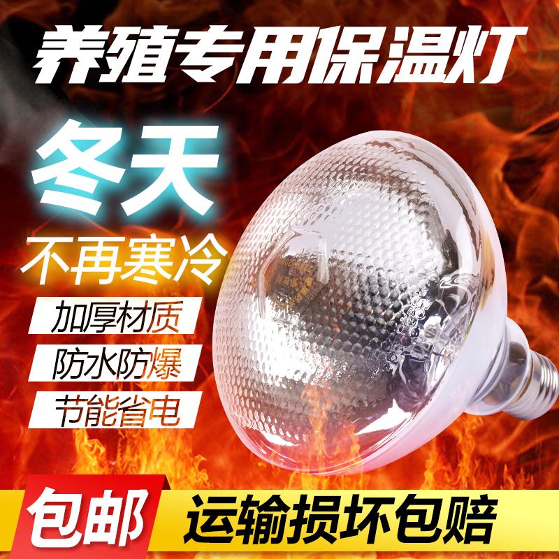 猪用保温灯养殖场专用小鸡取暖灯兽用烤灯仔猪育雏加热保暖灯泡