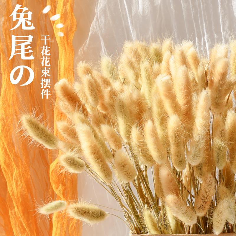 狗尾巴草干花花束真花瓶餐桌摆件网红ins风干文艺新房装饰兔尾草