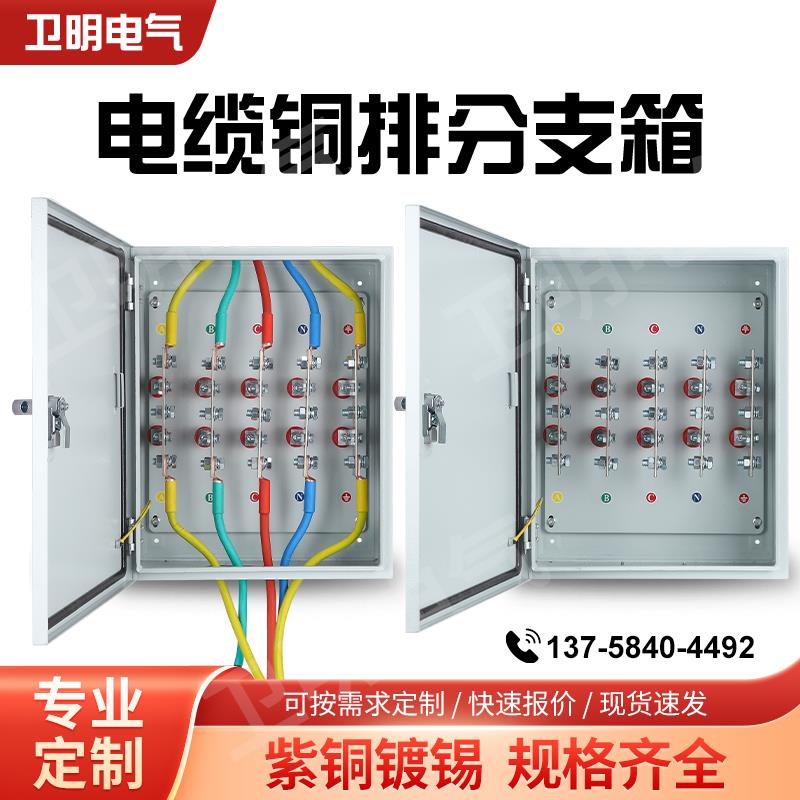矿物质电缆T接箱低压楼层分支箱接线端子分接箱BTTZ绝缘转换箱