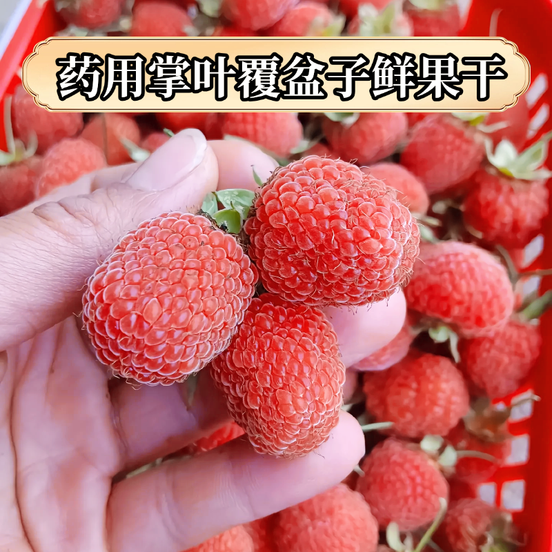 掌叶覆盆子红果干鲜果干货无硫熏野生产地浙江淳安临岐镇酸甜味道