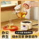 多功能全玻璃底养生壶办公室小型煮茶器迷你花茶壶mini烧水壶家用