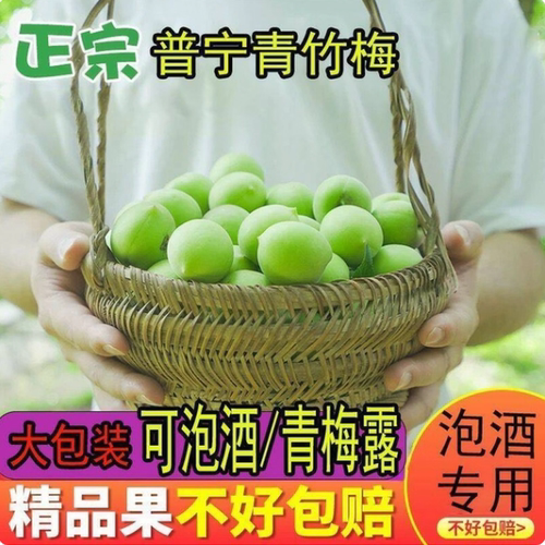 青梅泡酒专用现摘新鲜果腌制半成品家庭果酒精选简单便捷小零食方便果干省事无需处理轻加工网红款开胃休闲爽口果脯小冰糖泡制酸甜