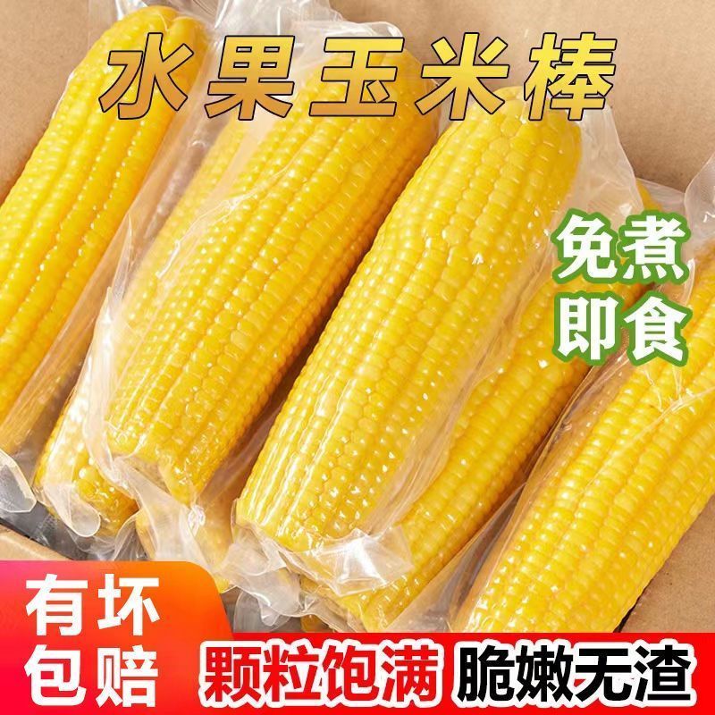 水果玉米棒即食玉米段开袋即食粗粮免煮代餐甜玉米胖玉米早餐零食