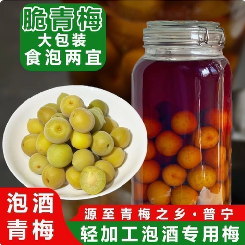 青梅泡酒专用现摘新鲜果腌制半成品解腻冰糖泡制方便网红款解馋简单家庭果酒酸甜果脯轻加工开胃精选小零食省事休闲爽口果干蜜饯
