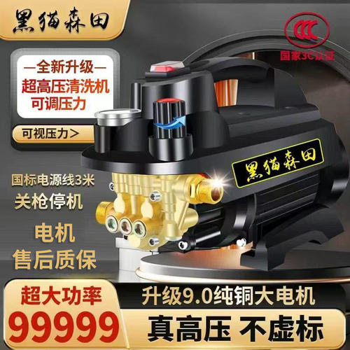 黑猫洗车神器家用220v大