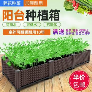 种菜专用箱蔬菜种植箱阳台种菜盆楼顶花箱家庭塑料花盆大号长方形