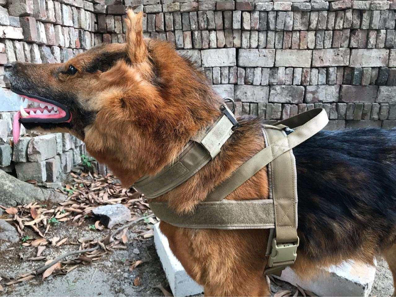 k9项圈可调节狗颈圈带狗脖圈大型犬结实金毛狗圈颈圈狗脖套小型犬