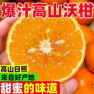 正宗哀牢山高原沃柑应季头茬新鲜水果产地直发