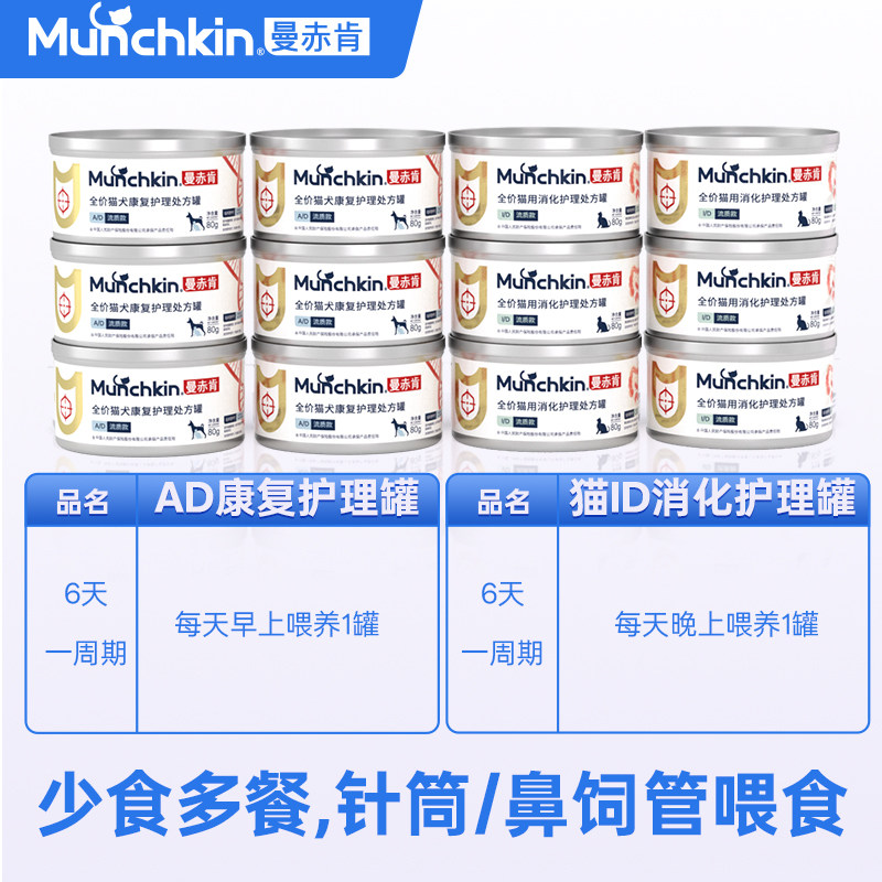 曼赤肯猫鼻饲管喂处方湿粮