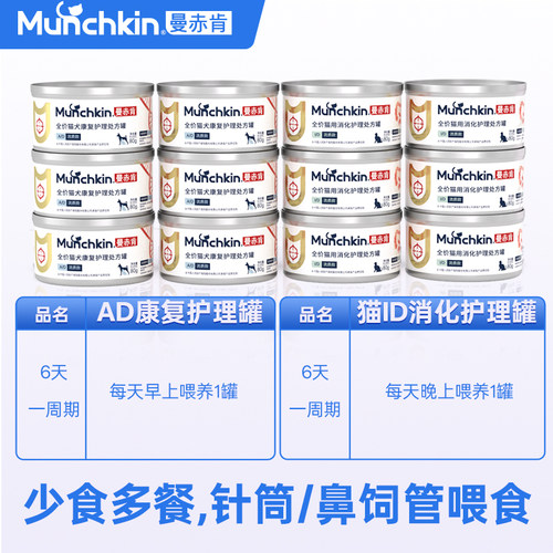 曼赤肯猫鼻饲管喂处方湿粮