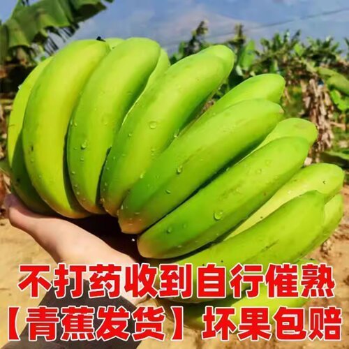 云南高山绿皮甜香蕉自然熟