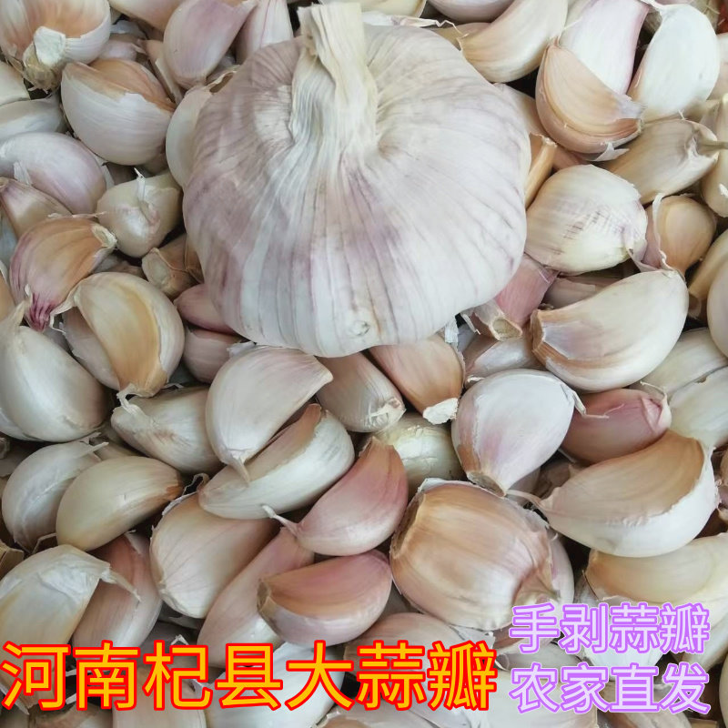干大蒜瓣大颗粒蒜头腌制肉串河南杞县紫皮大蒜头干蒜5斤腊八蒜瓣,水产肉类/新鲜蔬果/熟食,大蒜,淘宝优惠券,粉丝福利购,淘宝优惠卷