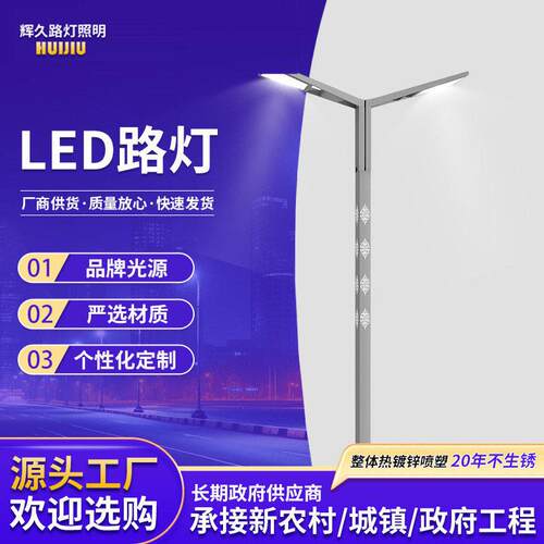 杆灯led投光灯农村景区12-40米户外照明灯双臂路灯灯杆景区灯