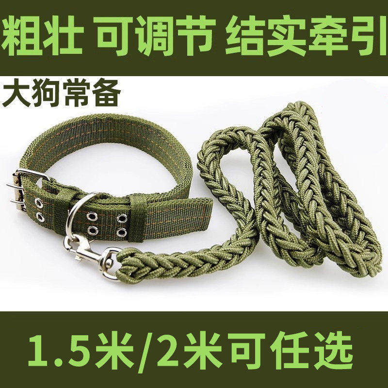 狗狗牵引绳大中型犬狗链子拉布拉多专用土狗脖圈金毛狗链条栓狗绳