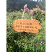 实木装 饰挂牌家用阳台花园庭院实木DIY墙上挂件小院创意门牌定制