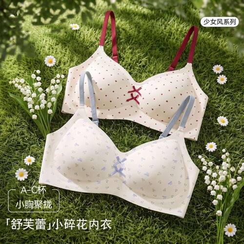 甜美田园风小碎花少女内衣女小胸聚拢提拉防下垂高中学生运动文胸