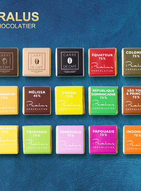 法国进口Pralus普阿鲁斯黑巧克力小片多口味高端甜品喜糖零食礼物