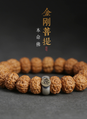 树王原籽小金刚菩提子手串手串
