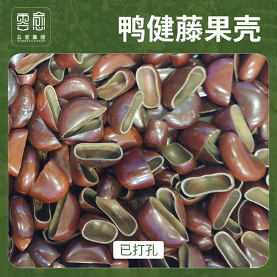 鸭键藤植物果壳材料diy手工果壳包挂配件风铃配件果壳包挂配件