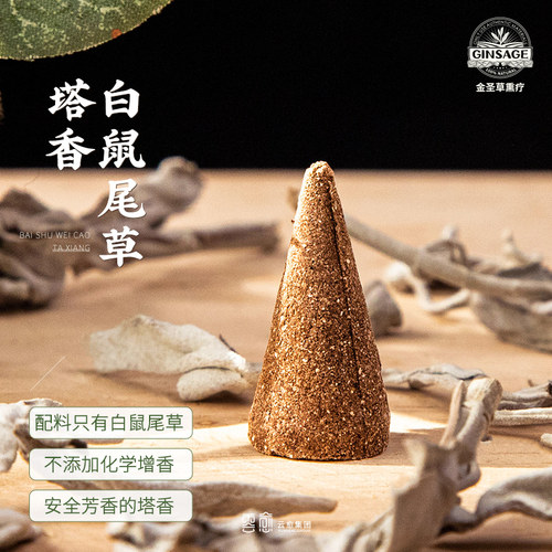 加州净化空气秘鲁白鼠尾草