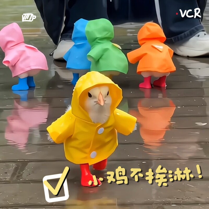 小鸡宠物雨衣迷你飞行员抽