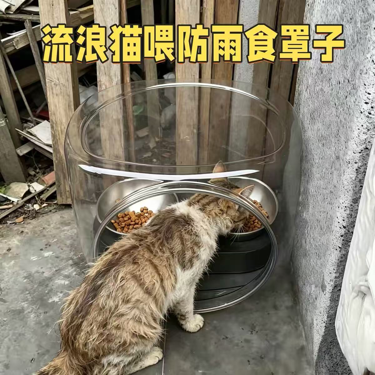 流浪猫喂食碗户外屋遮雨棚