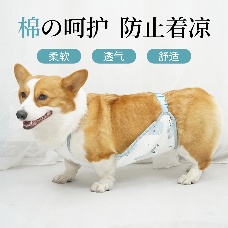 柯基肚兜防着凉护肚衣宠物狗狗肚兜夏季空调房护肚猫咪纯棉薄睡衣