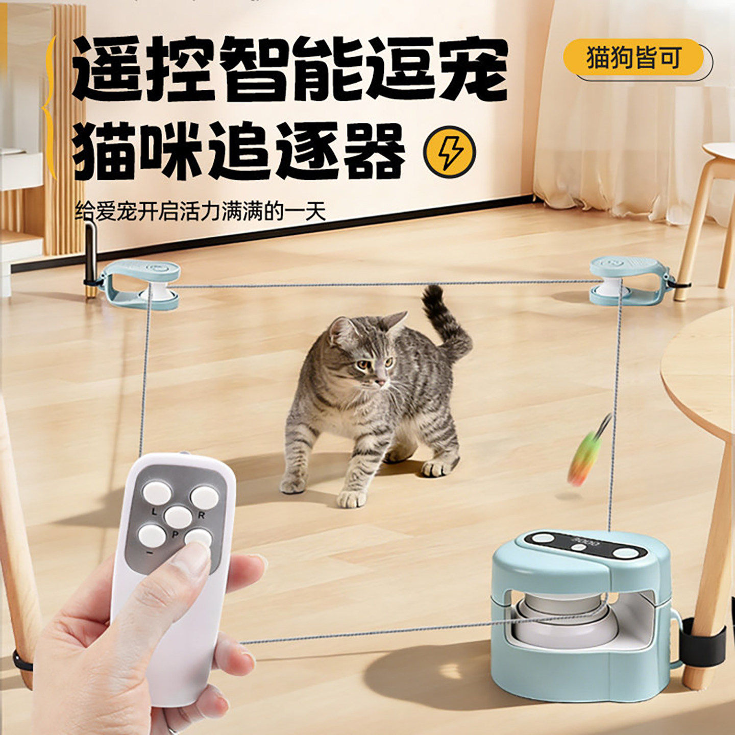 猫咪追逐器四角猫玩具电动追逐神器自动逗猫遥控绳索轨道移动玩具