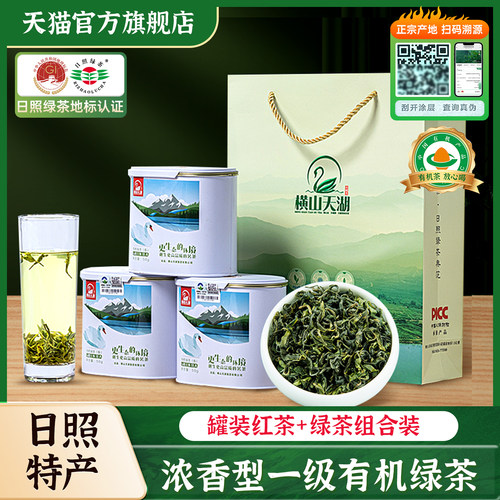 春采新茶浓香栗香型日照绿茶
