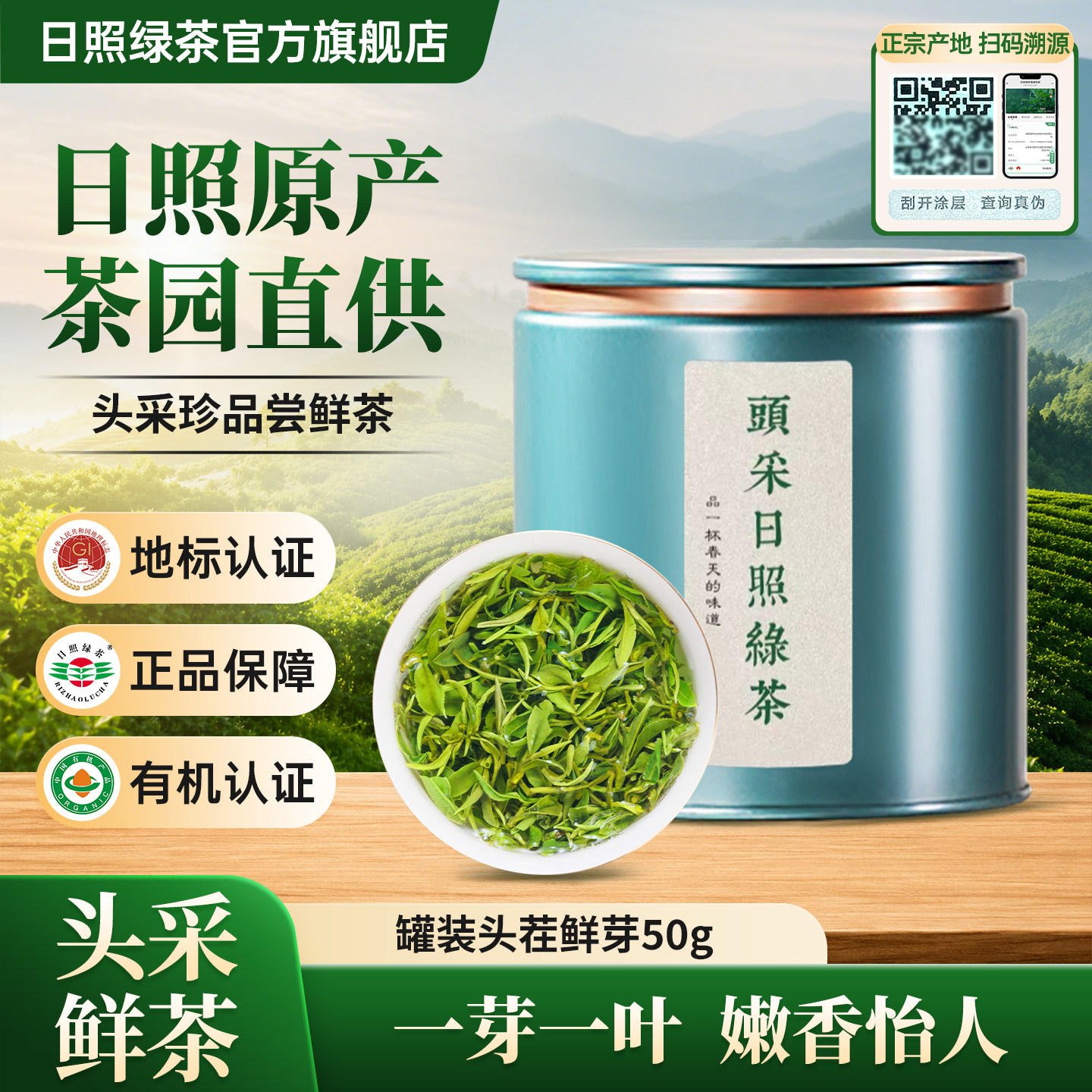 日照绿茶2026年新茶特级头采早春茶板栗浓香礼盒装正品官方旗舰店