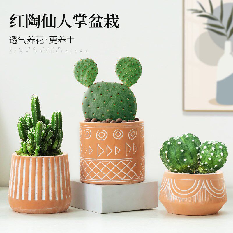 抽象风红陶仙人掌多肉透气花盆简约家用阳台室内桌面绿植小盆栽