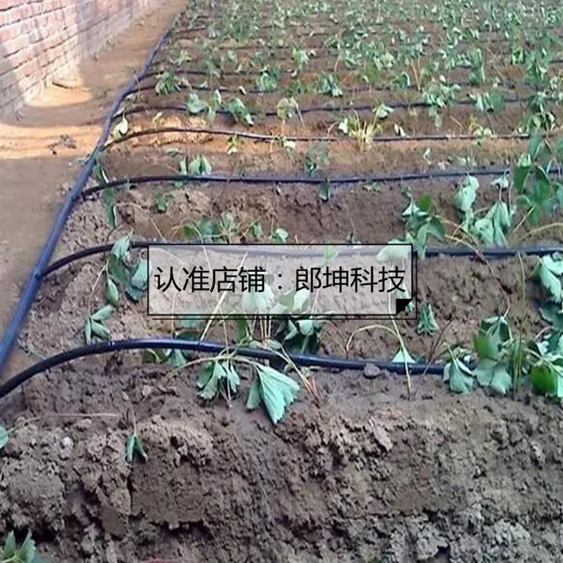 促销大棚吊喷主管雾化微喷管农用喷淋果园灌溉PE无孔吊管节水支管