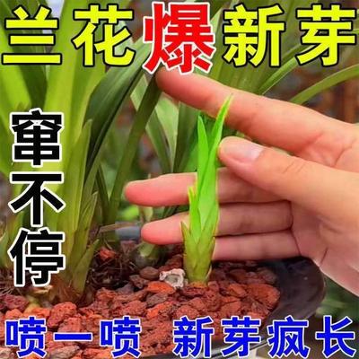 肥料花卉绿植用专用爆芽剂】兰花专用营养液烂根空根茎生根催芽催