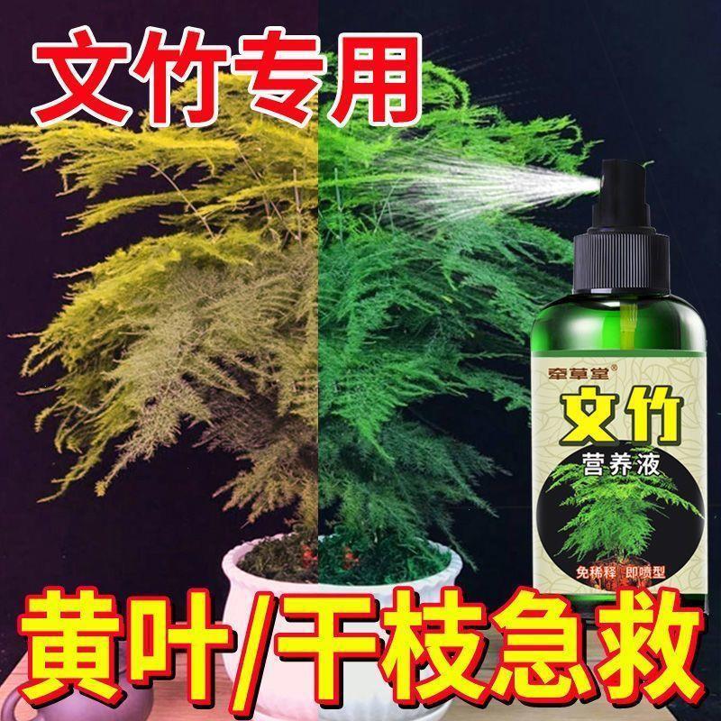 绿植肥料文竹专用【一喷绿】治叶子发黄枯瘦烂根氮磷室内盆栽免稀