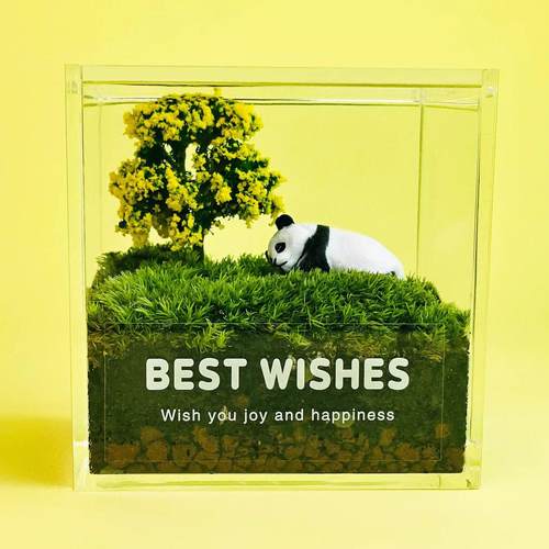 苔藓微景观室内生态瓶桌面迷你青苔盆栽小绿植熊猫摆件办公室礼物