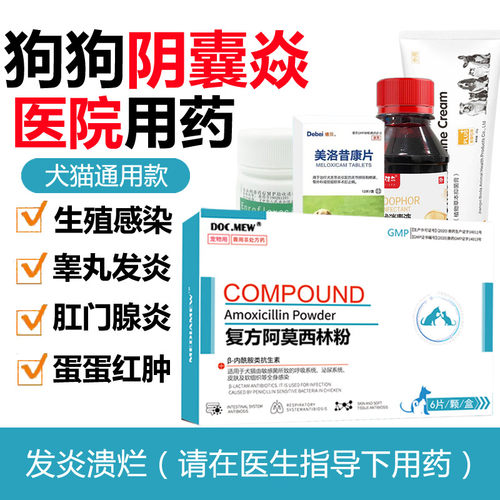 狗狗睾丸炎阴囊炎肛门腺红肿药