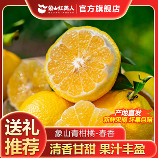 【象山红美人】正宗浙江宁波象山青供柚柑橘桔子黄金贡柚现采礼盒